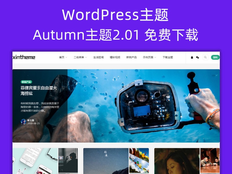 Autumn主题3.0免费下载WordPress主题模板