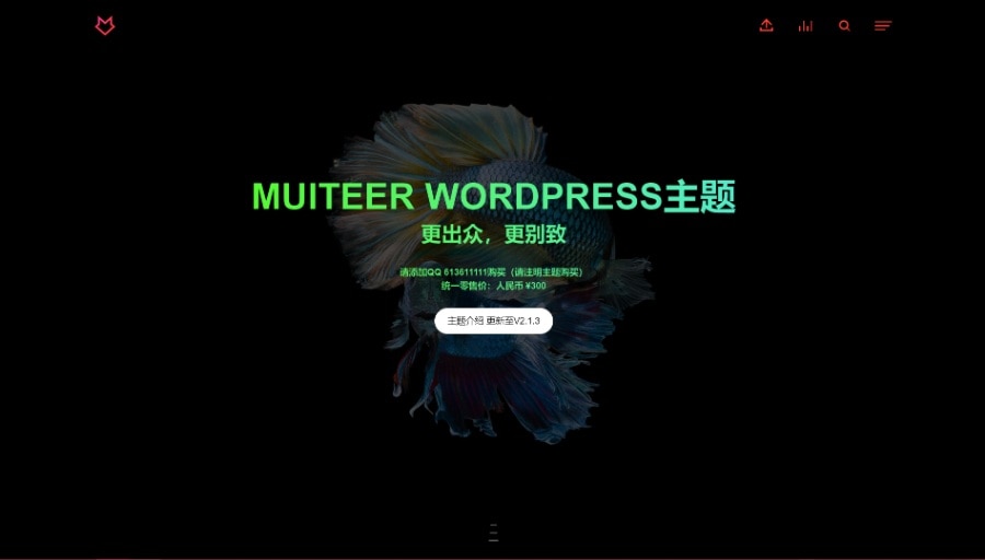 作品展示Muiteer主题（更新至V2.2.5）破解无限制版WordPress主题模板